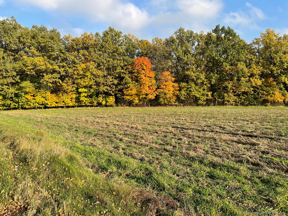 Konkurs fotograficzny Barwy jesieni