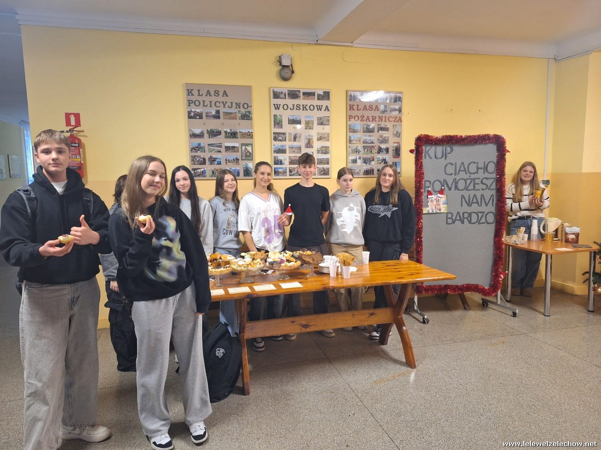 Zbiórka na karmę dla schroniska